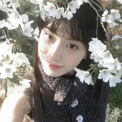 枯木逢春